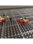 69X49 Nokta Stili Yantjouet 5mm Hama Boncuklar Pegboard Çocuk Oyuncak Nokta Bulmaca Şeffaf Tahta Aracı Dıy Şekil Malzeme Tahtası Demir Boncuk (Yurt Dışından) 3