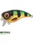 Iris Perch 5cm 10 G Yapay Yem 1/1 3