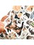 H-3189-50 Adet Tarzı Sevimli Kediler Hayvan Grafiti Sticker Karışık Stil Oyuncaklar Bavul Laptop Bisiklet Bagaj Araba Scooter Kaykay Sticker (Yurt Dışından) 4