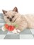 Yaylı Metal Fareli Kafes Kedi Oyun Topu Sıçrayan Spiral Kedi Topu (5024) 4