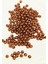 Yuvarlak Boncuk Içten Boncuklu Bileklik Çanta Boncuğu 8 Mm 50 Gr Kahverengi - Bnc469 1