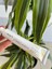 Güneş Kremi Leke Karşıtı 30 Spf Mineral Filtreli 1