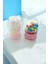 Premium Lastik Toka Set Kutulu Kopmaz Perma Lastik ve Bebek Tokası 1011 3