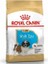 Royal Canin Shihtzu Puppy Yavru Köpek Maması 1.5 kg 1