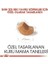 Royal Canin Shihtzu Puppy Yavru Köpek Maması 1.5 kg 4