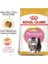 Royal Canin Persian Kitten Yavru Iran Kedisi Maması 2 kg 2