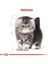 Royal Canin Persian Kitten Yavru Iran Kedisi Maması 2 kg 3