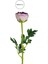 Yapay Erengül Dalı Lila 58 cm 2