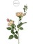 Yapay 3'lü Açmış Bahçe Gülü Dalı Pembe 66 cm 2