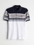 Lcwaıkıkı Classic Polo Yaka Çizgili Pike Erkek Tişört (S5) 5