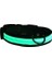 Petzz Işıklı Ayarlanabilir Flaşörlü Kedi ve Köpek Boyun Tasması Yeşil 45-52 cm / 2.5 cm 1