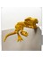 Sevimli Iskelet Trex - Hareketli Organik Oyuncak - 3D Baskı - Dinazor Çok Renkli 30CM Boyunda 4