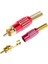 PM-23804 Tos Fiş Metal Gold Kırmızı 1