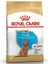 Royal Canin Poodle Junior Yavru Köpek Maması 3 kg 1