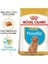 Royal Canin Poodle Junior Yavru Köpek Maması 3 kg 3