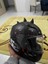 Siyah Motor Kask Boynuzu Süsü 5