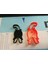 Kitty Popo Kurabiye Kesici P49061 Sadece Plastik Aparattır. 1