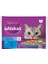 Pouch Pure Delight Jöle Içerisinde Ton Balıklı ve Somonlu Yetişkin Konserve Kedi Maması 4 Adet 85 gr 1