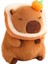 Kapya Bebek Peluş Oyuncak Yastık 30 cm (Yurt Dışından) 1