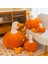 55 cm Balkabağı Ördek Yastık Peluş Oyuncak (Yurt Dışından) 1