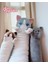 Kedi Yastık Bebek Bebek Peluş Oyuncaklar Tatil Hediyesi (Yurt Dışından) 4