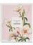 Parfüm The Sense Of Jasmine 50 ml 2