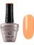 Nail Gel 15 ml 037 1