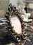 Oval Sarmaşık Çerçeve Dk Karışık 15 x 20 3