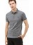 Erkek Regular Fit Paris Polo 3