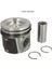 Piston+Segman Ducato Std 2.3 1