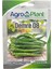 Demre Biber Tohumu 25GR Paket 1