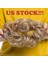 Haırro Sentetik Elastik Saç Scrunchie Kıvırcık Chignons Saç Halat Doğal Saç Topuz Kıvırcık Klipsli Saç Ponytails Uzantıları (Yurt Dışından) 3
