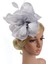2 Adet Kadın Kız Fascinator Şapka Saç Bandı Kokteyl Parti Başlığı (Yurt Dışından) 2