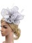 2 Adet Kadın Kız Fascinator Şapka Saç Bandı Kokteyl Parti Başlığı (Yurt Dışından) 3