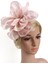 2 Adet Kadın Kız Fascinator Şapka Saç Bandı Kokteyl Parti Başlığı (Yurt Dışından) 5