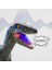 Uzaktan Kumandalı Velociraptor: Sesli, Yürüyen ve Tamamen Kontrolünüzde! 3