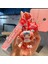 Sanrio Kurome Bebek Anahtarlık Kadın Sevimli Tamagotchi Köpek Peluş Kamera Biblolar (Yurt Dışından) 1