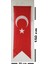 Türk Bayrağı ve Atatürk Baskılı Kırlangıç Bayrak Takım 50 x 150 cm 4