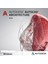 Autocad Architecture 2024 Windows - 1 Pc 3 Yıl Autodesk Key 1