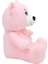 1022P Göbekli Ayı 28 cm Pembe -Selay Oyuncak 2