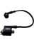 Ateşleme Bobini Oem Spacy Activa 125S 1