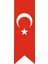 Kırlangıç Türk Bayrağı 1