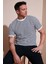 Pamuklu Çizgili Regular Fit Bisiklet Yaka T Shirt Erkek T Shirt 5903005 1