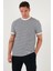 Pamuklu Çizgili Regular Fit Bisiklet Yaka T Shirt Erkek T Shirt 5903005 5