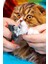 Wf Çelik Uçlu Kırmızı Kedi Köpek Büyük Tırnak Makası CIN316KR 4