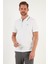 Pamuklu Slim Fit Şerit Detaylı Düğmeli Polo Yaka 5'li Paket T Shirt Erkek T Shirt 5902118S5 4