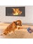 Buffer® Evcil Hayvan Kedi ve Köpek Paslanmaz Çelik Yaylı Tırnak Makası ve Düzeltme 2