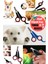 Kuş Papağan & Kedi & Köpek Oval Tırnak Kesme Makası Bakım Pensesi Taşınabilir Mini Hayvan Severlere 2