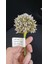 Yapay Çiçek #12 Allium X1 46CM Mor Renk Soğan Çiçeği Ev Dekorasyon Ev Işyeri Şıklık 1 Adet 2