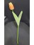 Yapay Dal Lale Tulipa Gesneriana Bitki Orange Gerçekçi Çiçek Tamamlayıcı Dekorasyon 45 cm 1 Adet 1